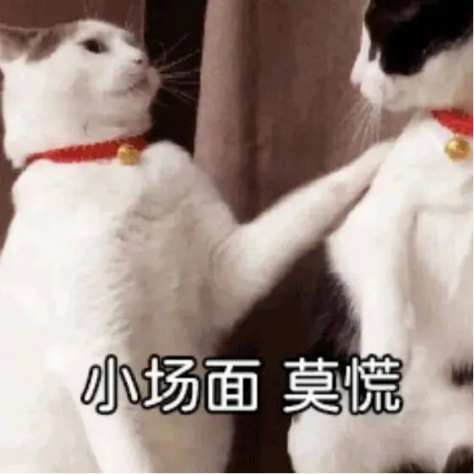 技术底蕴爆发：从全自研内核看第五代骁龙8的全面领先