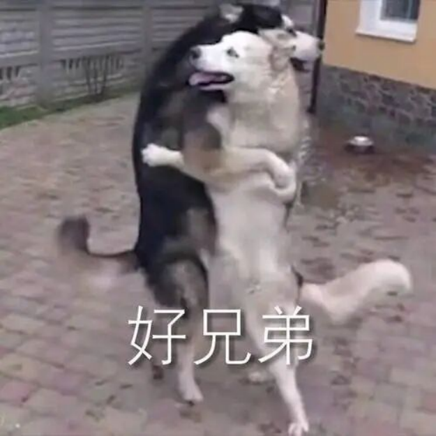 技术底蕴爆发：从全自研内核看第五代骁龙8的全面领先